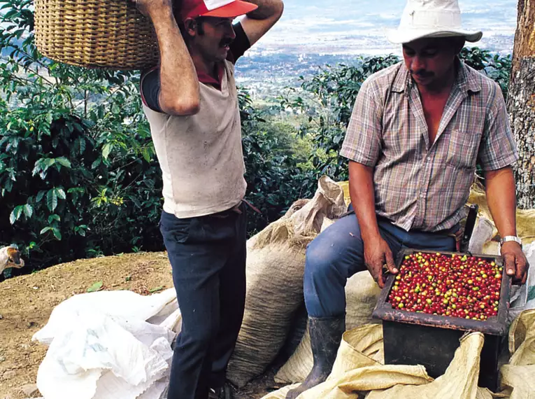 Costa Ricas Highlights entdecken