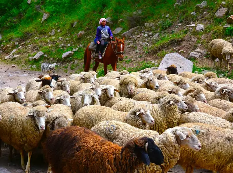 Usbekistan & Kirgisistan: Architektur und Natur entlang der Seidenstraße 
