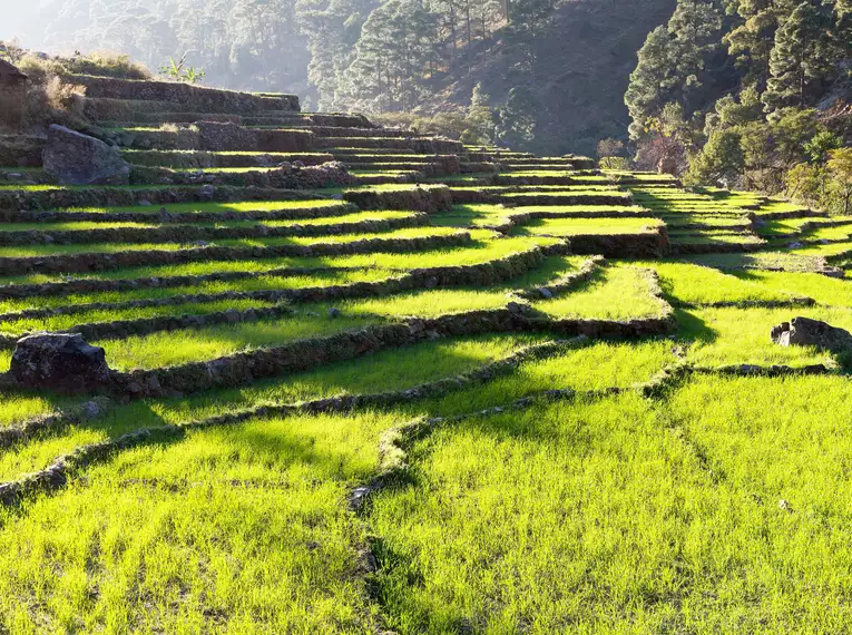 Nepal - Annapurna-Trek zum Poon Hill