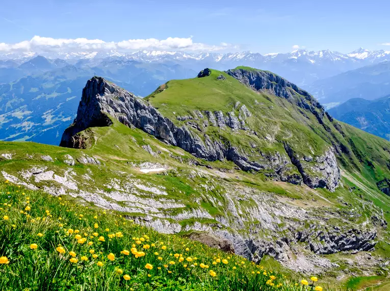 Almwandern in Tirol rund um den Achensee