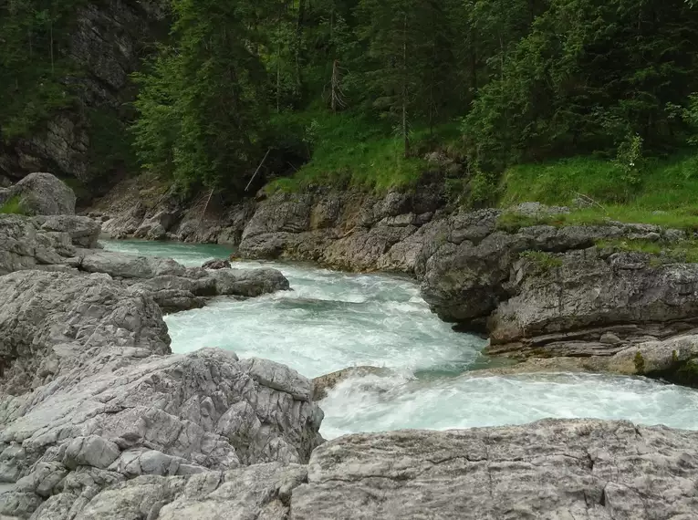 Die Highlights im Nationalpark Bayerischer Wald erwandern