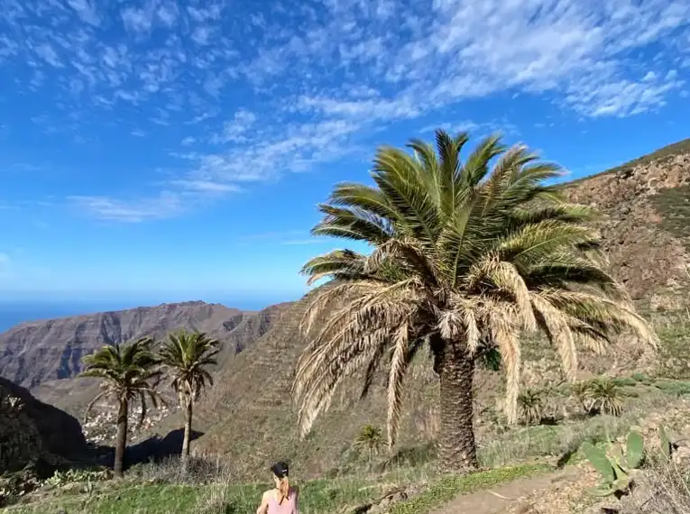 La Gomera individuell - Best of GR 132