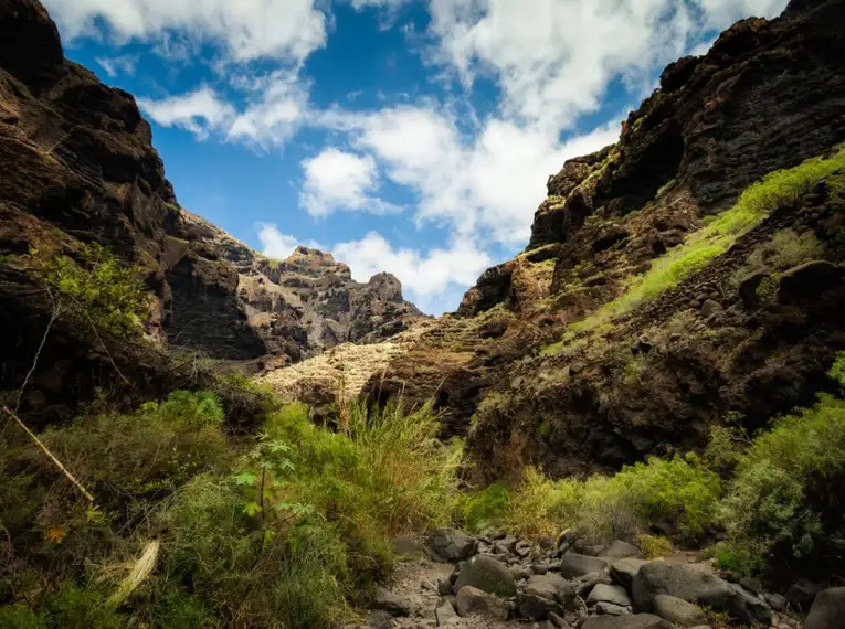 Die Highlights Teneriffas erwandern – Bild 2