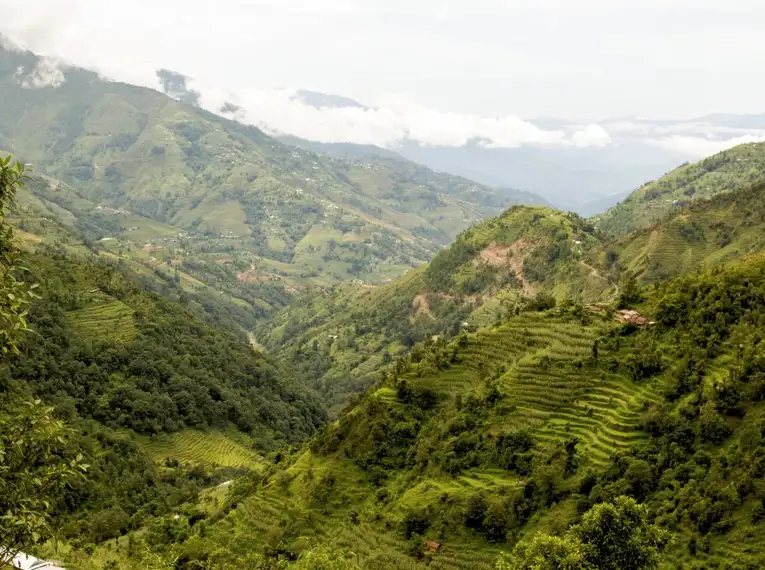 Helle, grüne Berghänge mit Reisterrassen im Himalaya, Nepal.