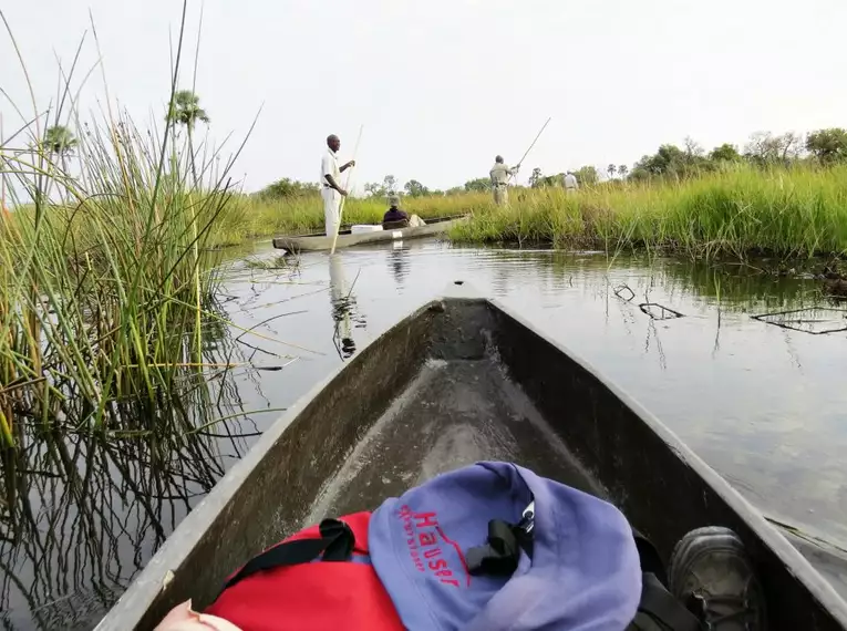 Botswana - Das grüne Herz der Kalahari mit Egmont Strigl