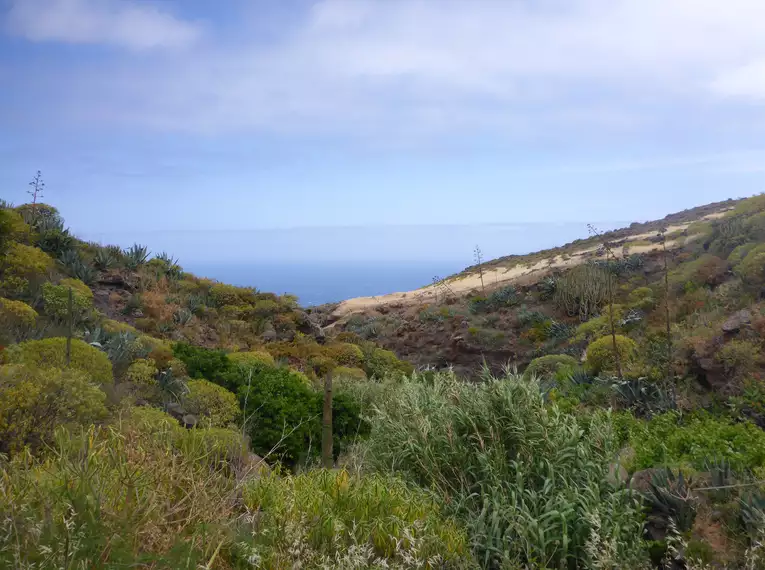 Individuelle Wanderwoche Teneriffa