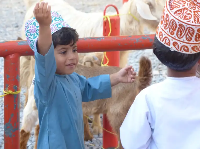 Oman - Anspruchsvolles Trekking im Sultanat – Bild 29