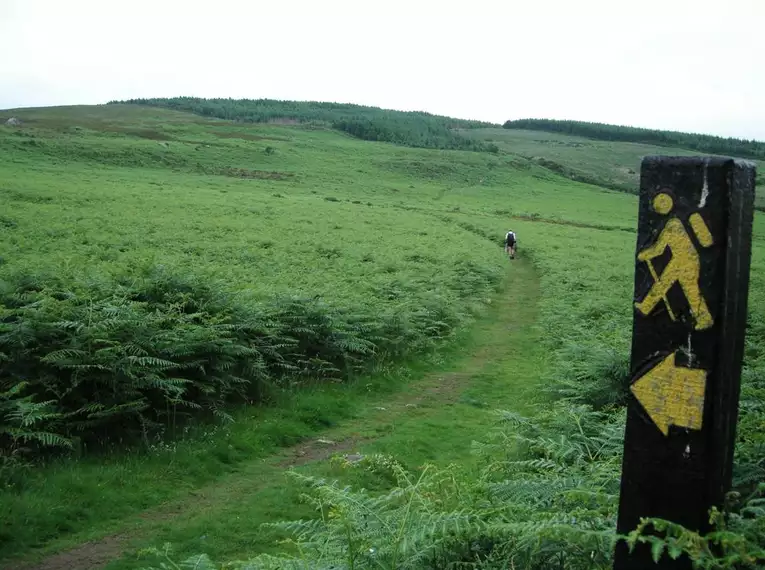 Wanderweg im Wicklow Mountains Nationalpark Ein Wanderweg im Wicklow Mountains Nationalpark mit Wegweiser.