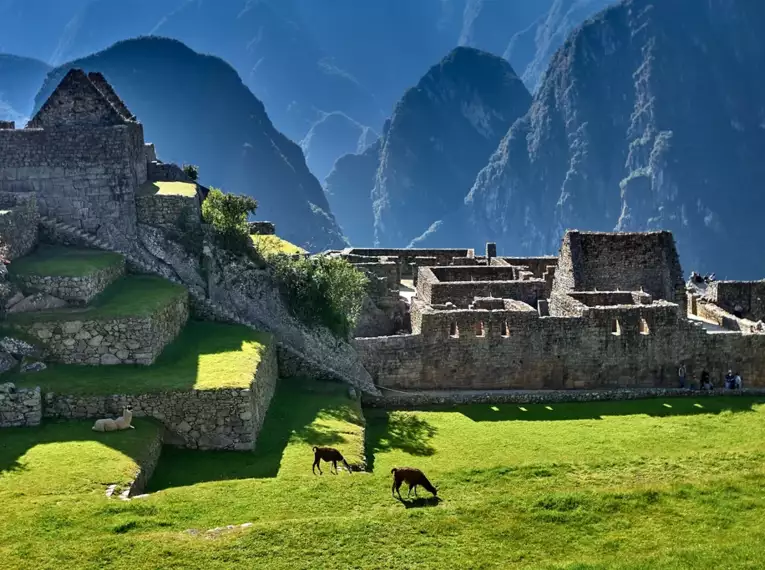 Blick auf Machu Picchu mit grünen Terrassen und umgebenden Bergen.