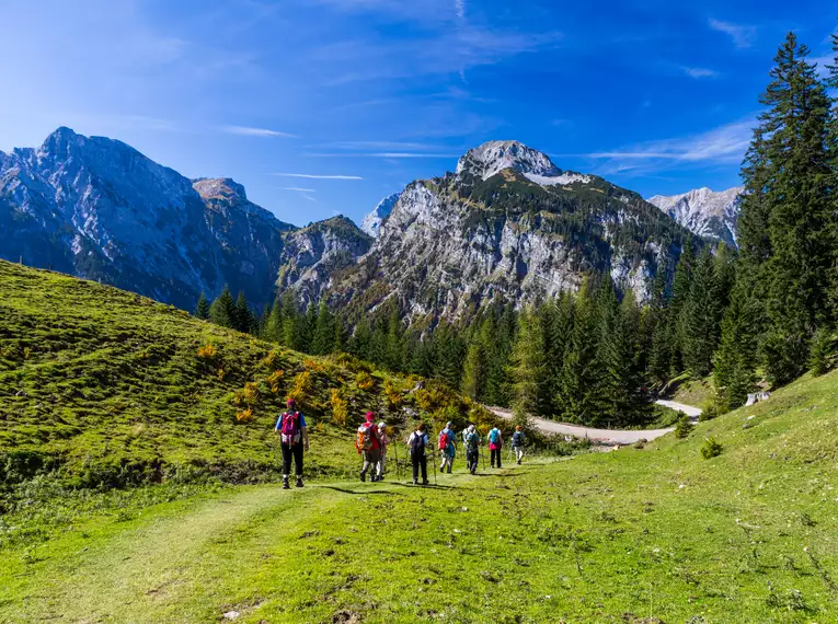 Almwandern in Tirol rund um den Achensee