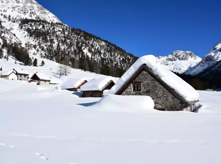 Skitouren Seealpen - Gourmet