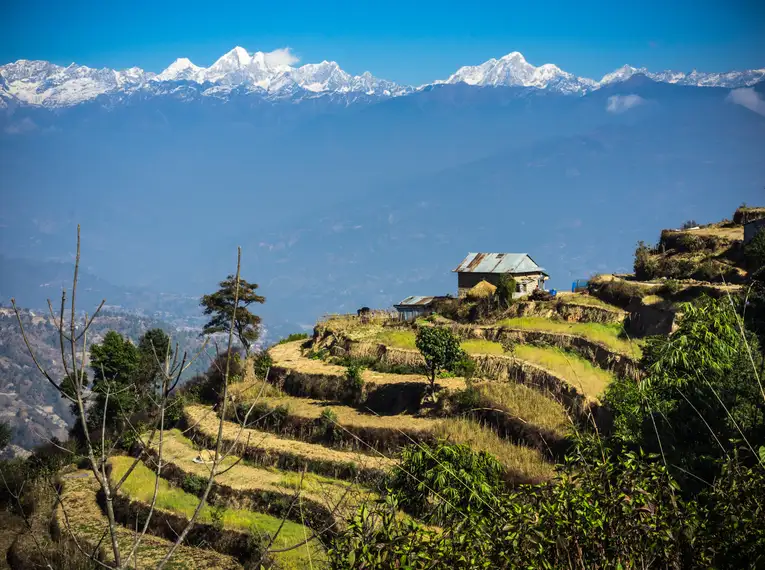 Terrassenfelder mit schneebedeckten Himalaya-Bergen im Hintergrund in Nepal.