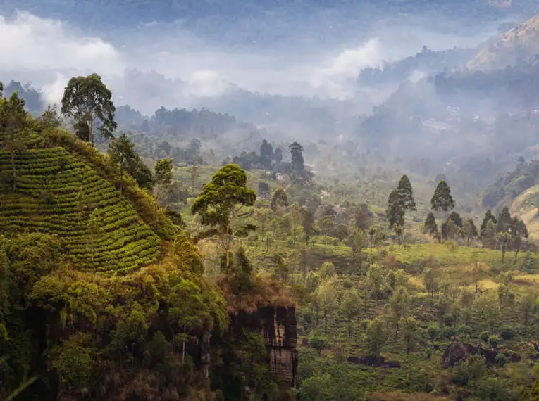 Magisches Sri Lanka - Eine Reise durch Geschichte, Natur und Kultur