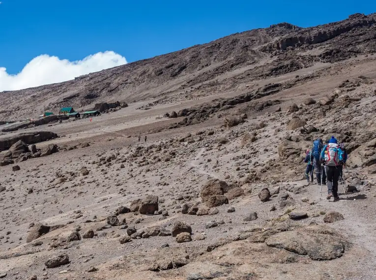 In Kleingruppen auf den Kilimanjaro: Lemosho-Route (Northern Circuit)  – Bild 4