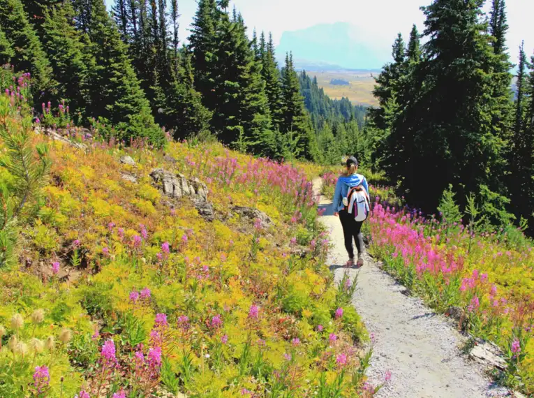 Kanada - Die Rocky Mountains auf verborgenen Wegen entdecken – Bild 2