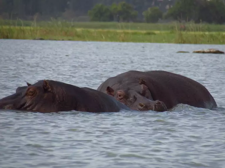 Äthiopien - Eindrucksvolle Trekking-Abenteuer in den Simien-Bergen