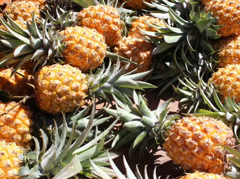 Frische Ananas auf einem Marktstand auf La Réunion, tropischer Genuss.