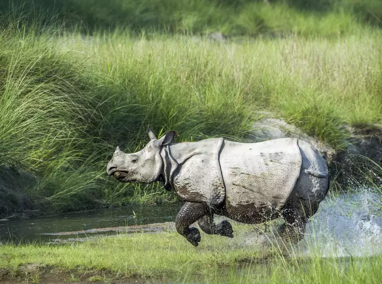 Silvester in Nepal
