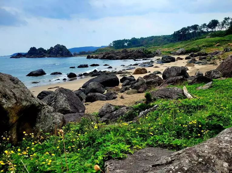 Typische Küstenlandschaft auf Hokkaido Felsige Küstenlinie mit Meer und Blumen in Japan, bewölkter Himmel