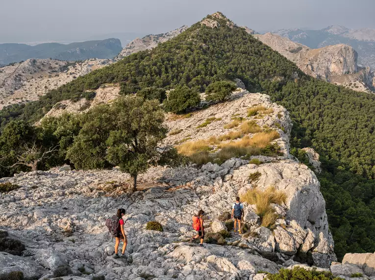 Mallorca für Singles und Alleinreisende