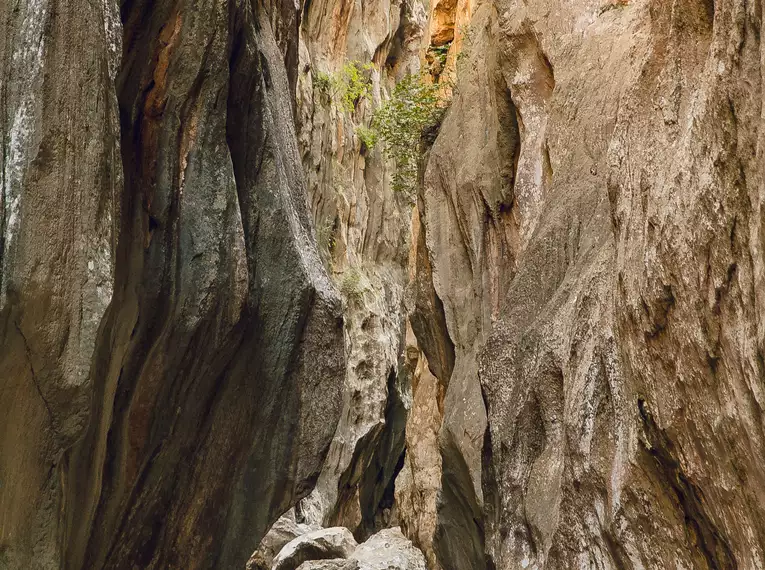 Mallorca individuell - die Ruta del Contraban