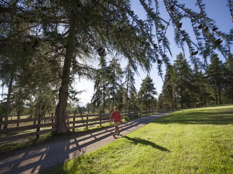 Alpenüberquerung individuell von Garmisch nach Bozen