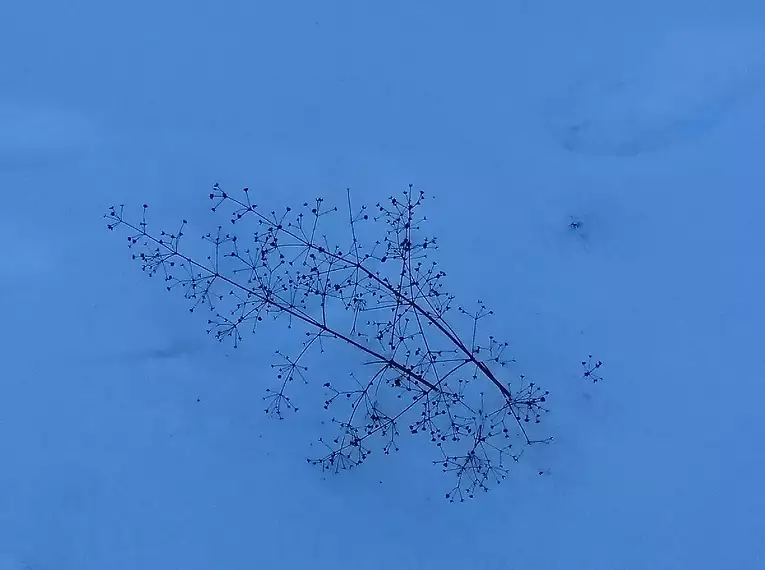 Schneeschuhwandern im Stubaital