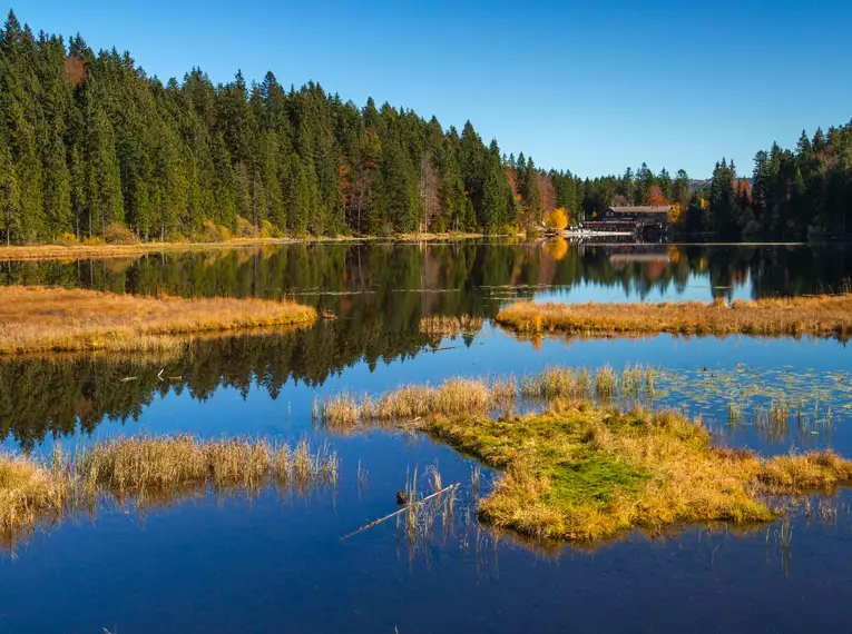 Die Highlights im Nationalpark Bayerischer Wald erwandern
