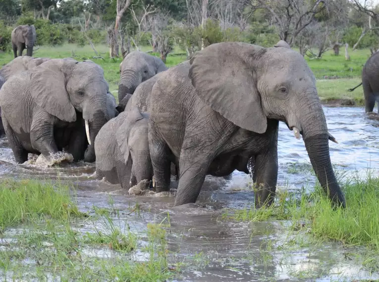 Botswana & Simbabwe - Vom Okavango-Delta zu den majestätischen Victoriafällen