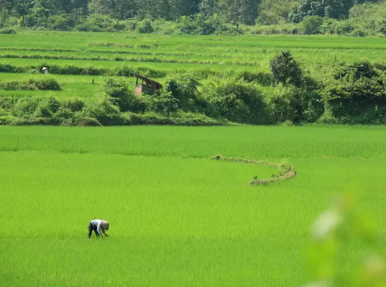 Verborgene Schätze und Kulturen: Entdeckungsreise durch Nordvietnam