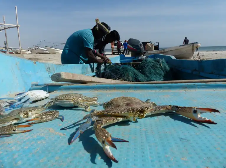 Oman - Ein Duft von 1001 Nacht im 21. Jahrhundert – Bild 28