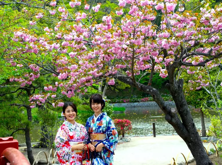 Kirschblütenpracht in Japan Zwei Personen in traditioneller Kleidung unter blühenden Kirschbäumen bei einem Teich.