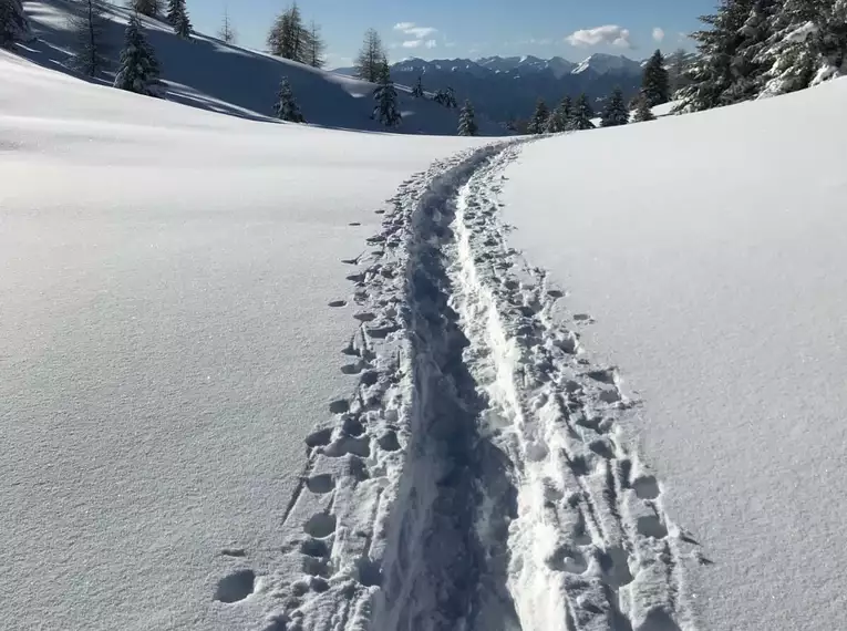 Genussvolle Schneeschuhtouren rund um den Großglockner