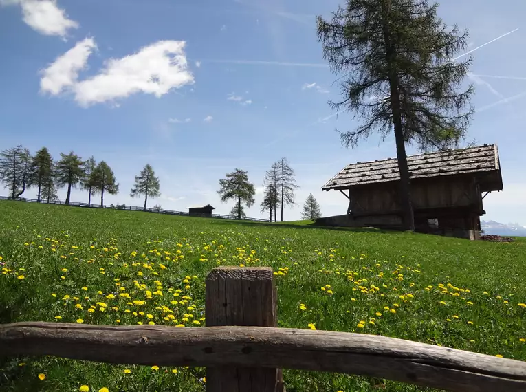 Individuelle Wanderung entlang des Wein- und Almenwegs in Südtirol