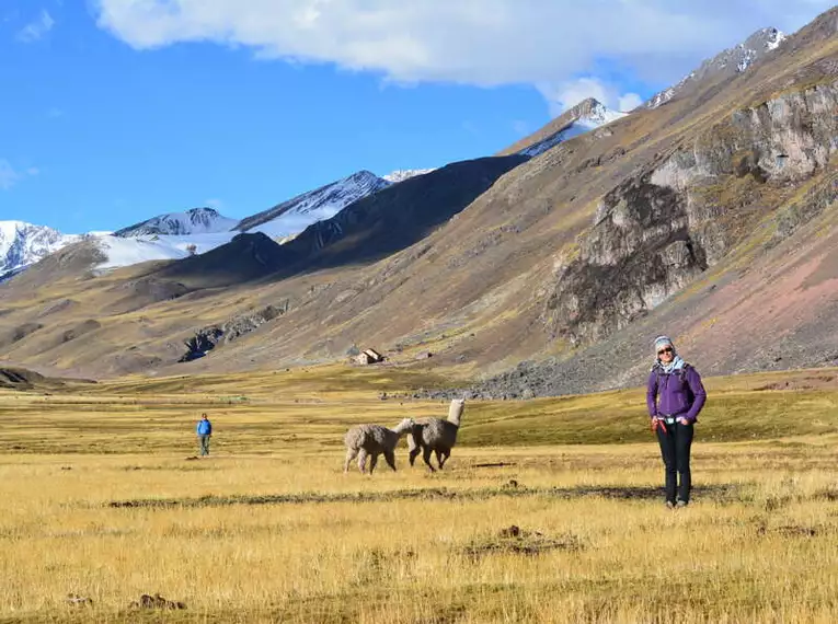 Peru Trekking um den Apu Asangate (5.100 HM)