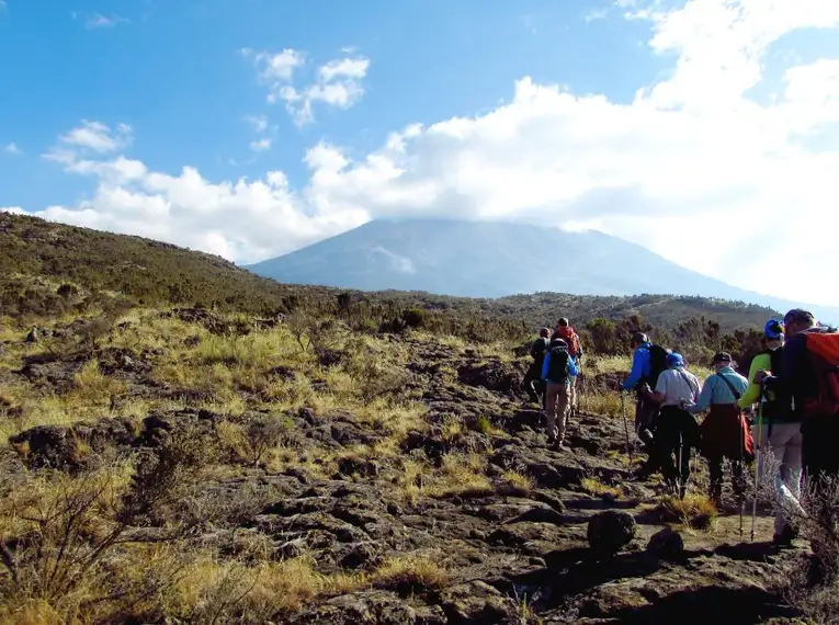 In Kleingruppen auf den Kilimanjaro: Lemosho-Route (Northern Circuit)  – Bild 15