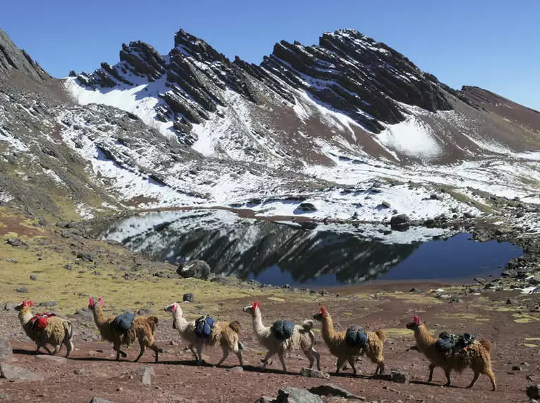 Peru Trekking um den Apu Asangate (5.100 HM)