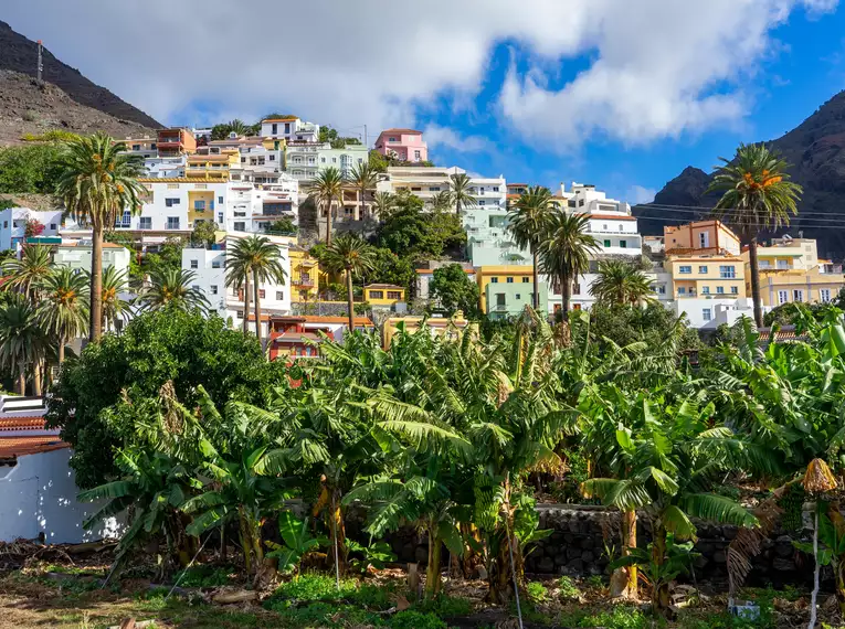 Typisches Dorf auf La Gomera Ein Dorf auf La Gomera mit umgebenden Palmen und bunten Häusern.