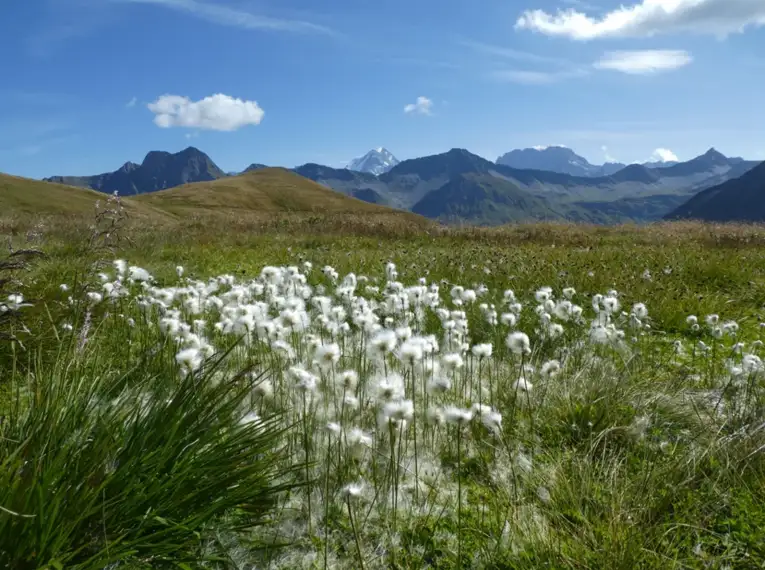 Rund um den Mont Blanc - das Herz der Alpen