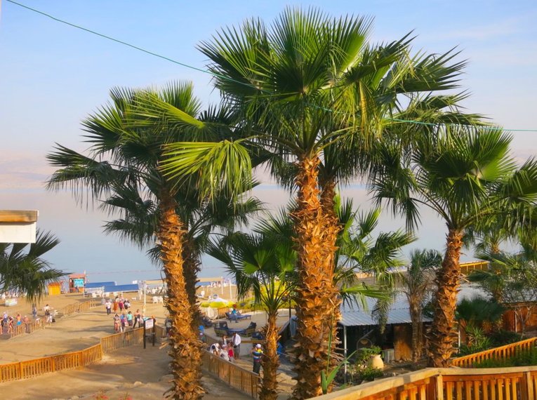 Israel für Einsteiger - Eine Reise durch Geschichte, Natur und Kultur