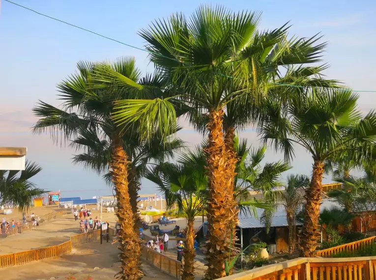 Israel für Einsteiger - Eine Reise durch Geschichte, Natur und Kultur