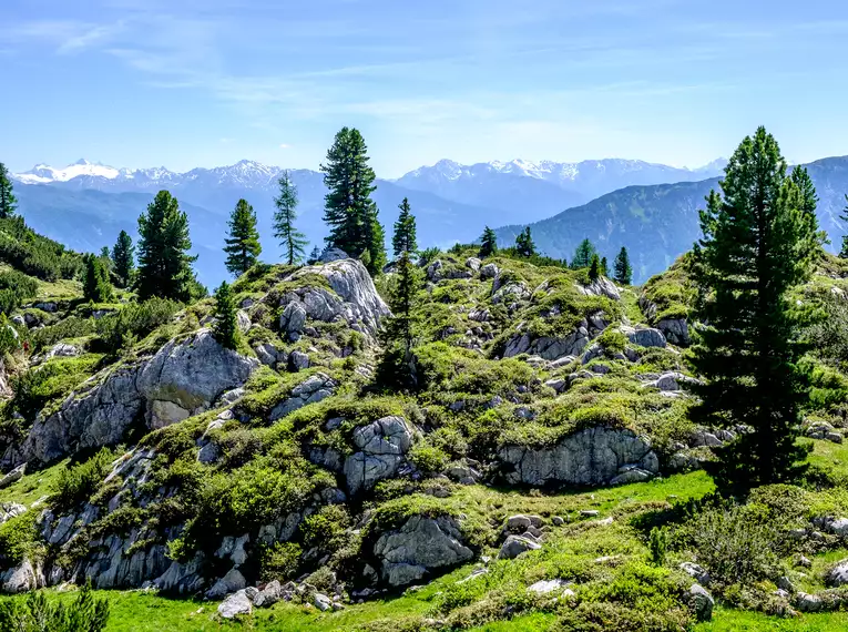 Almwandern in Tirol rund um den Achensee