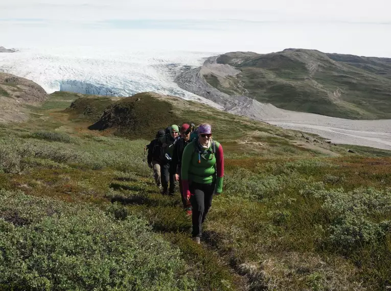 Wanderer erkunden Grönlands Eislandschaft Gruppe von Wanderern im Gras mit Blick auf einen Gletscher in Grönland.