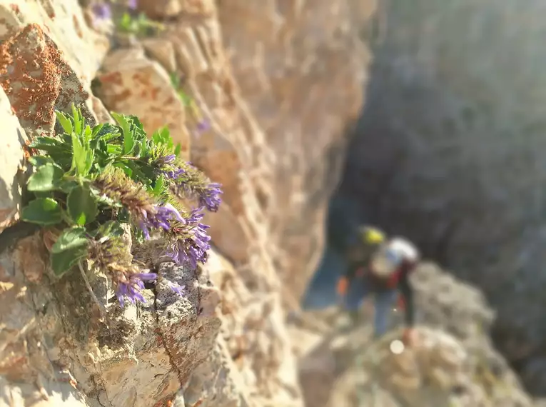 Kletterführungen rund um Cortina