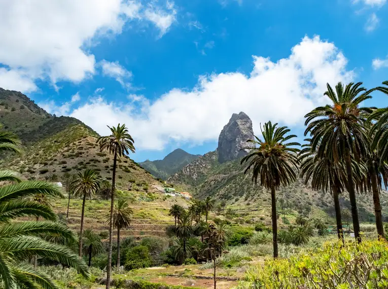 Palmen und grüne Hügel vor einem beeindruckenden Berg auf La Gomera.