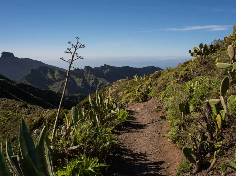 Teneriffa gemütlich erwandern