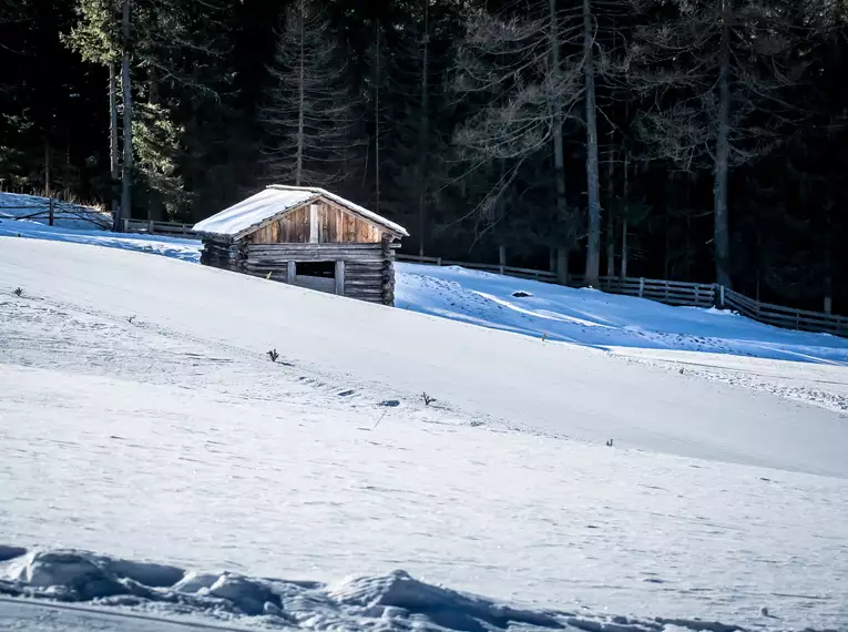 Langlaufkurs über Silvester im Antholzertal