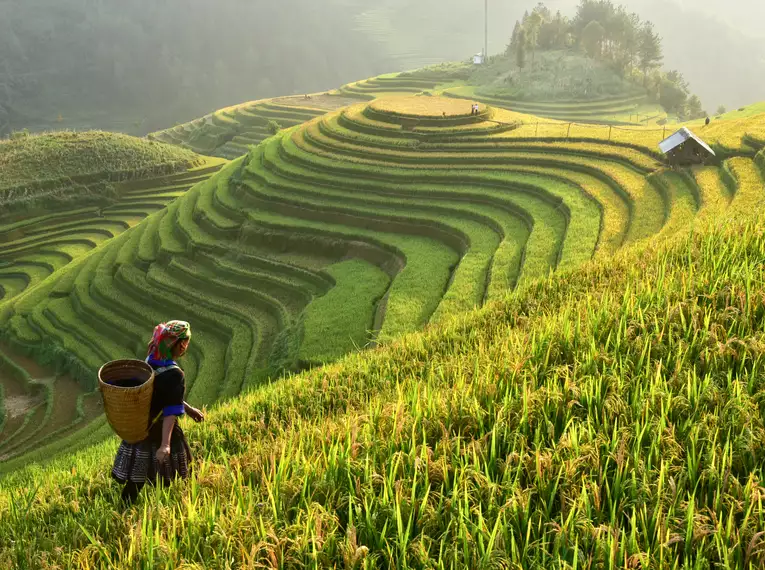 Die Highlights von Vietnam und Kambodscha erleben