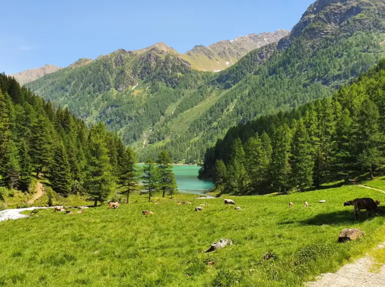 Wanderwoche Stilfser Joch – Bild 8
