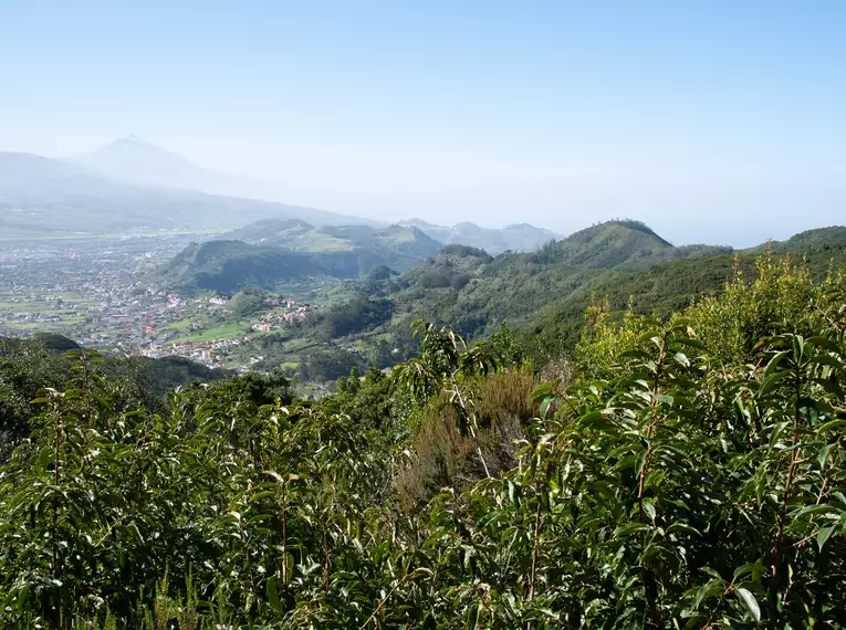 Silvester auf Teneriffa